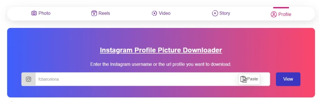 Instagram Profile Downloaders